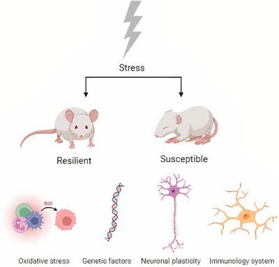 Frontiers | Neurobiological Mechanisms Of Mood Disorders: Stress ...